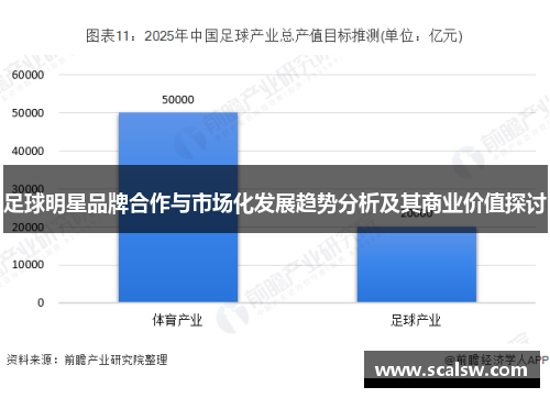 足球明星品牌合作与市场化发展趋势分析及其商业价值探讨