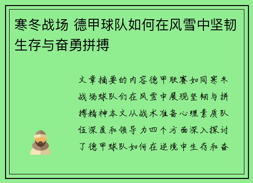寒冬战场 德甲球队如何在风雪中坚韧生存与奋勇拼搏